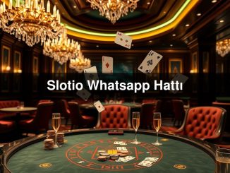 Slotio Whatsapp